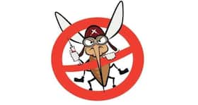 #WorldMalariaDay: Effective steps to prevent Malaria #WorldMalariaDay: Effective steps to prevent Malaria
