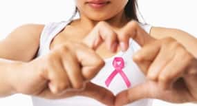 High-fat diet in pregnancy may up breast cancer risk