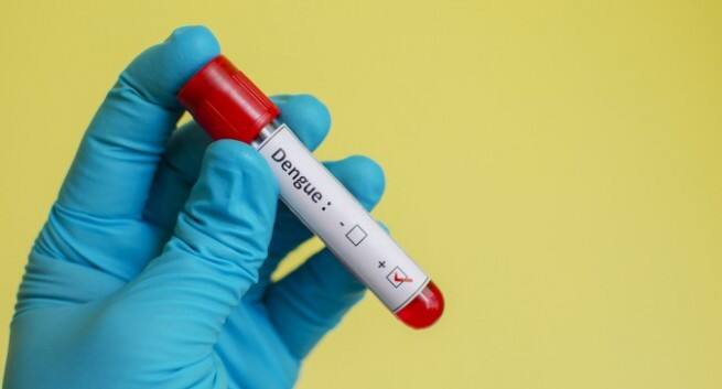 Dengue test