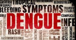 Lucknow dengue toll rises up to 148, 54 more test positive