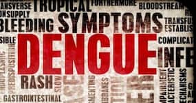 Lucknow dengue toll rises up to 148, 54 more test positive Lucknow dengue toll rises up to 148, 54 more test positive