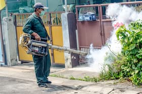 Dengue and chikungunya: All the myths BUSTED! Dengue and chikungunya: All the myths BUSTED!