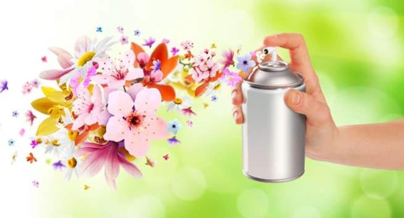 5 common causes of allergic sneezing you should know