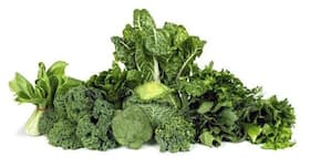 Brocoli vs Spinach:  ब्रोकोली या पालक ,कौन-सी सब्ज़ी है ज्यादा पौष्टिक ?
