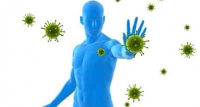 Our immune system is shaped by the environment we live in ...