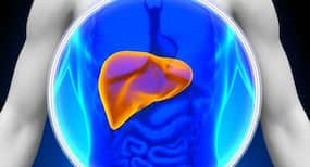 Indian scientists reach another milestone in the hunt of deadly fatty liver disease treatment