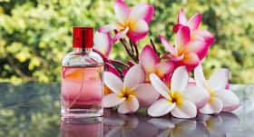 Tips to choose the perfect summer fragrance Tips to choose the perfect summer fragrance