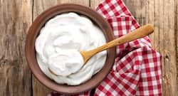 The humble yoghurt can make your hair long and skin radiant