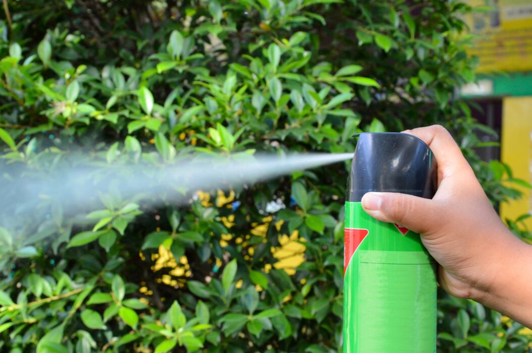 Dengue and chikungunya: All the myths BUSTED!
