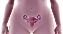 Daily dose of Aspirin may lower risk of ovarian cancer