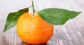 Guide to buying and storing oranges the right way!