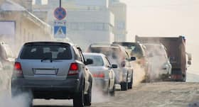 3% children breathe toxic air globally, says WHO