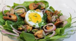 Healthy Recipe: Egg Mushroom Salad