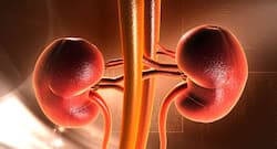 5 fruits you must eat for healthy kidneys