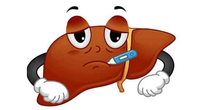 Study finds out new drug targets that may treat fatty liver disease and  liver cancer 