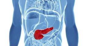 Certain bacteria may promote pancreatic cancer by suppressing the immune system