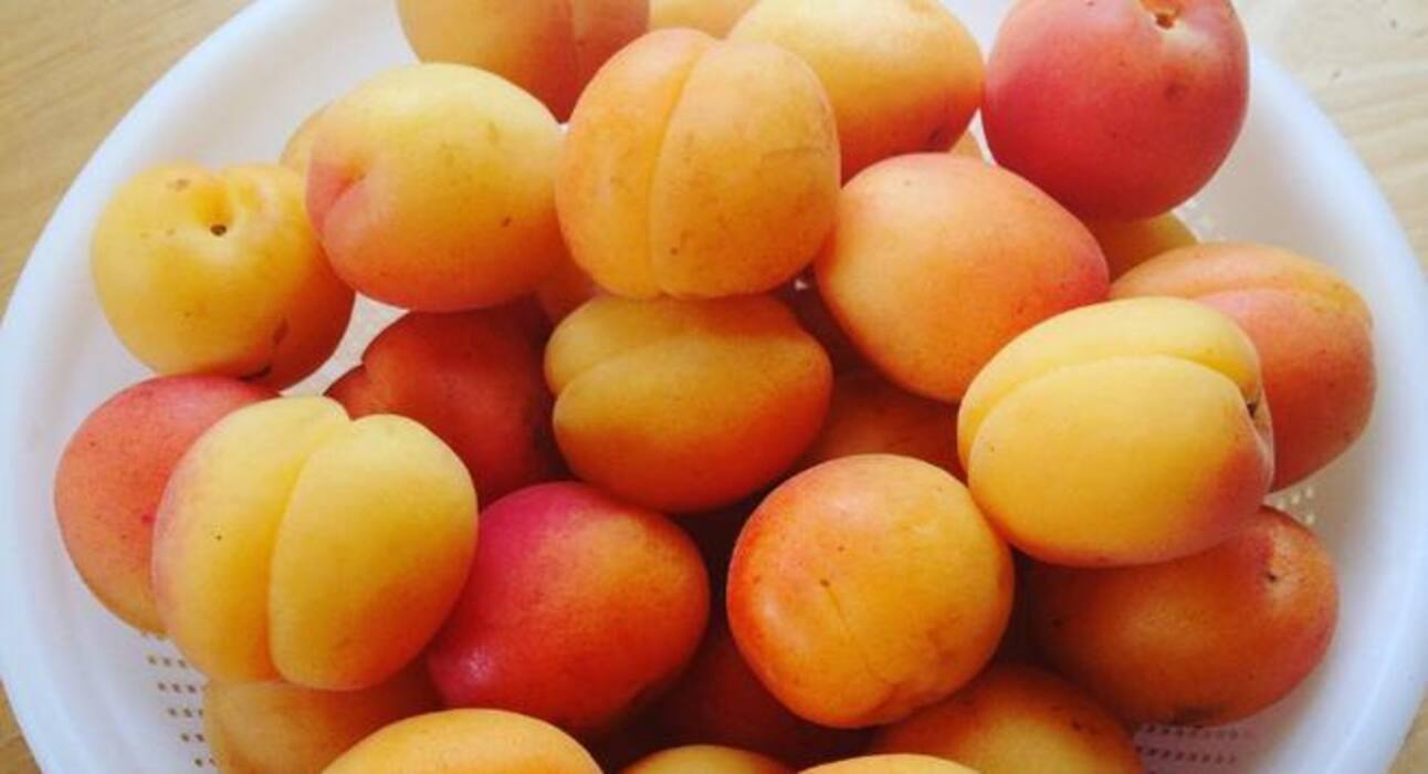 6 best superfoods for breastfeeding moms