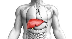 World Liver Day: Take good care of your liver to live healthy