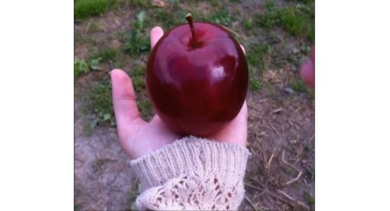 These pictures so perfect that they will satisfy your OCD and make your day!