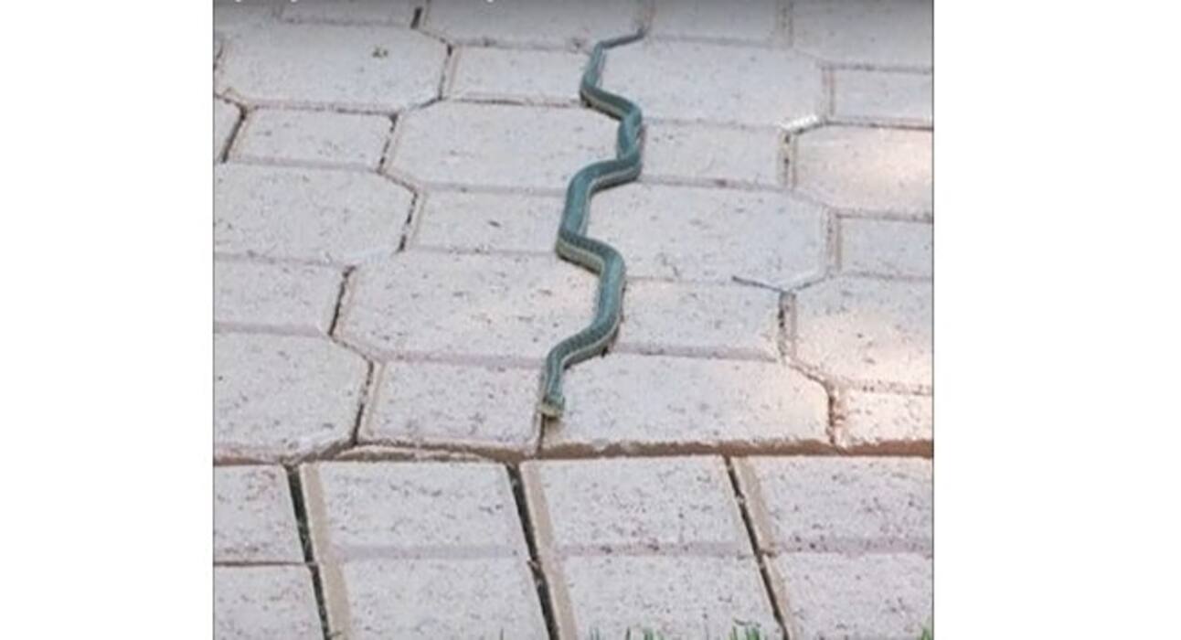 These pictures so perfect that they will satisfy your OCD and make your day!