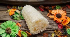 Use luffa to exfoliate your skin naturally