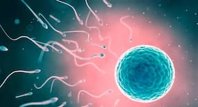 Trying to make a baby? These 5 yoga asanas will boost your sperm quality