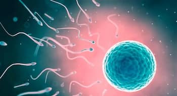 Trying to make a baby? These 5 yoga asanas will boost your sperm quality