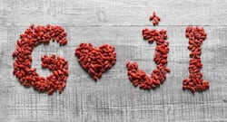 Goji berries - a superfood with 7 amazing health benefits