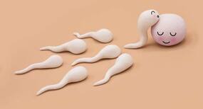 Trying to get pregnant? Here are the 5 signs of ovulation you should be tracking in your body