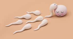 Trying to get pregnant? Here are the 5 signs of ovulation you should be tracking in your body Trying to get pregnant? Here are the 5 signs of ovulation you should be tracking in your body
