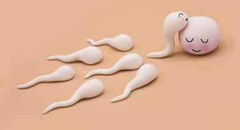 Trying to get pregnant? Here are the 5 signs of ovulation you should be tracking in your body