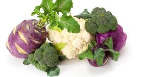 Are cabbage, cauliflower, broccoli as healthy as you think they are?