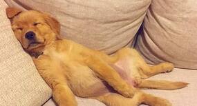 Got insomnia? These yin yoga poses will put you to sleep
