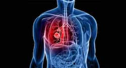 Book Review: If Our Bodies Could Talk - Operating and Maintaining a Human Body
