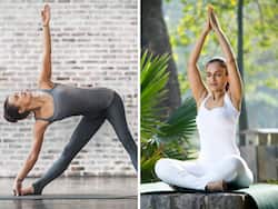 7 Yoga Asanas That Burn The Most Calories And Aid Weight Loss