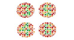 Take this test to see if you are colour blind