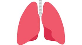10 organs humans don't need