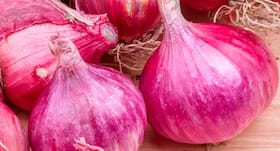 Eating red onions may help combat cancer Eating red onions may help combat cancer