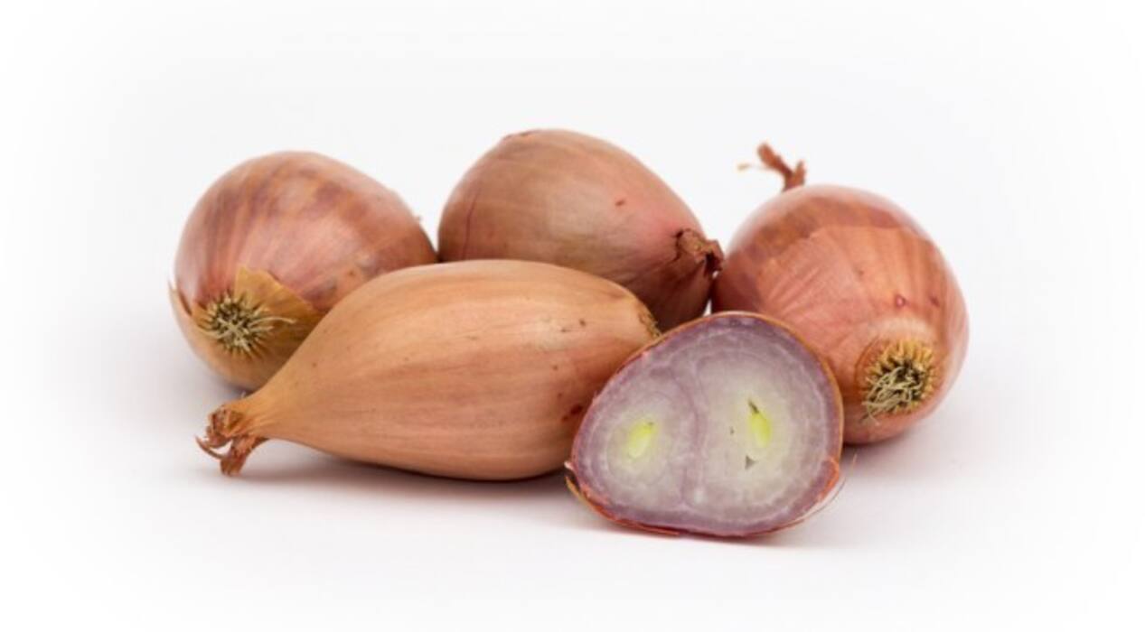 Inhale these 4 herbs for instant migraine relief