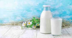 Cow's milk harmful for toddlers below one year