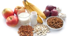 What are prebiotic foods?