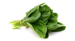 Power packed palak: 7 reasons why you should include this wonder green in your diet