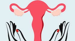 5 steps to a healthy uterus