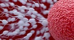 4 signs your sperm is healthy and strong