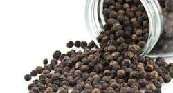 क्या आप जानते हैं कि Parkinson’s की बीमारी में फायदेमंद है काली मिर्च?