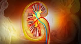 World Kidney Day 2018: Ayurveda for Chronic Kidney Disease