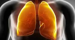 AIIMS sets up India's first VBN facility