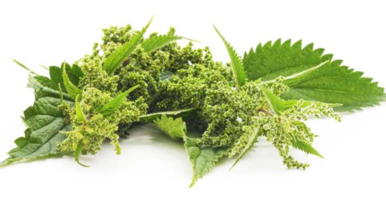 6 foods that can stop allergy attacks