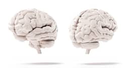 New computing tool can predict a person's intelligence