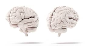 'Anaesthesia doesn't lower IQ in children' 'Anaesthesia doesn't lower IQ in children'